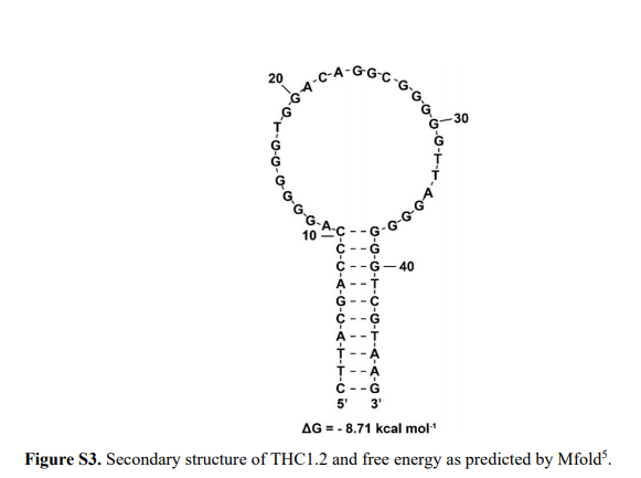 THC1.2 structure