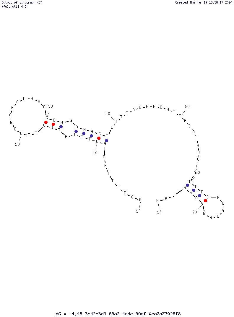 BnFIX1 structure