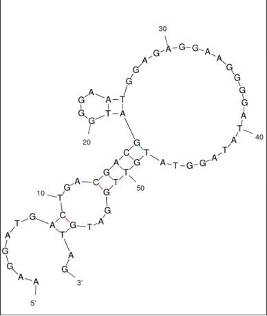 SP3 structure