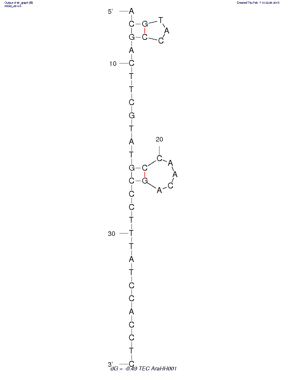 Tumor Endothelial Cells (AraHH001) structure