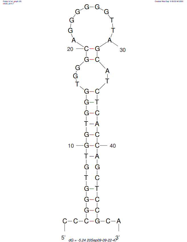C10 structure