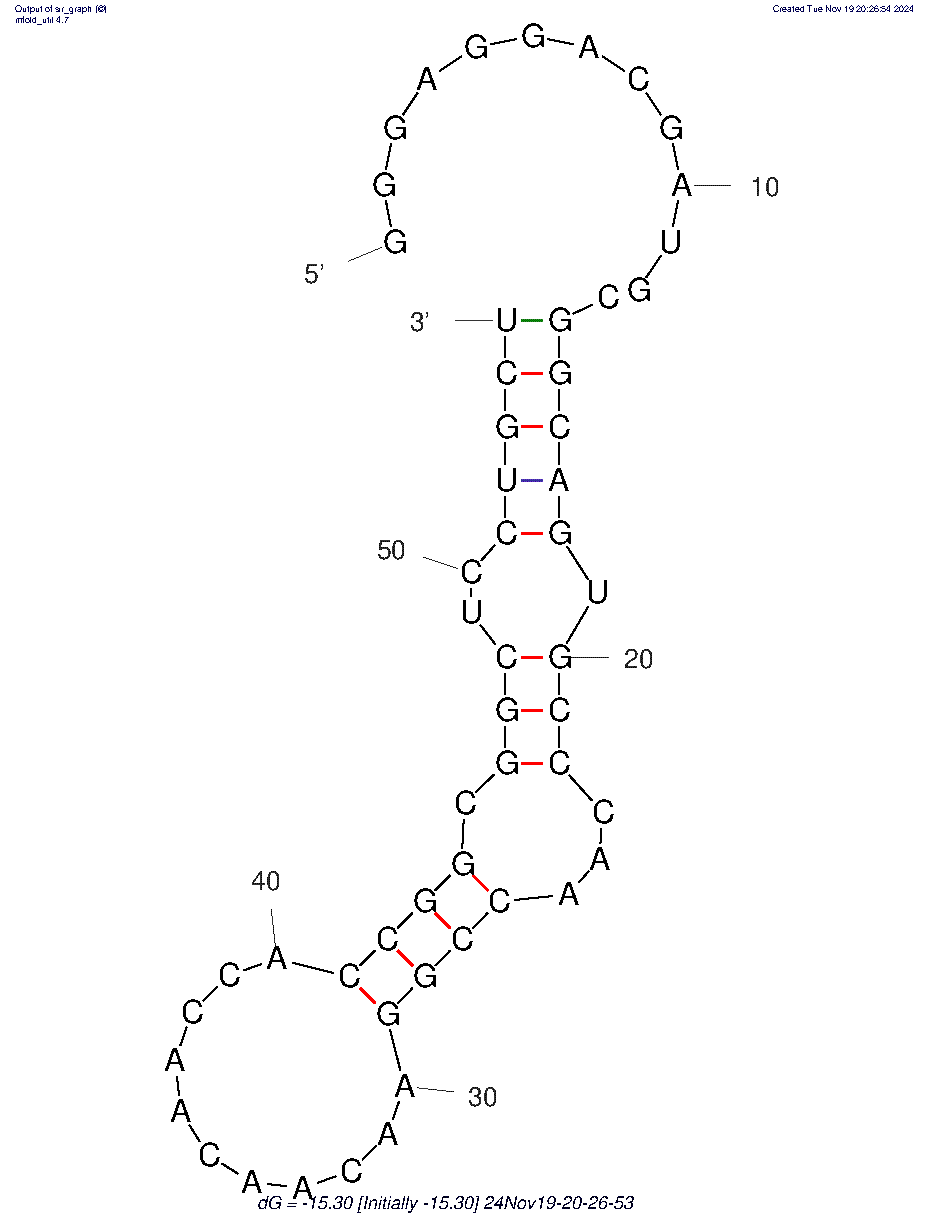 RNA 14-16 structure