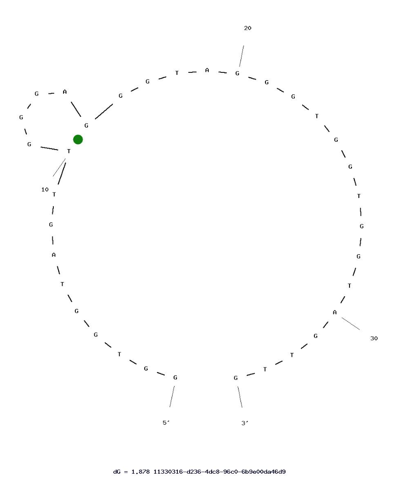 A23P3 Aptamer against IL-23 (P19 subunit) structure