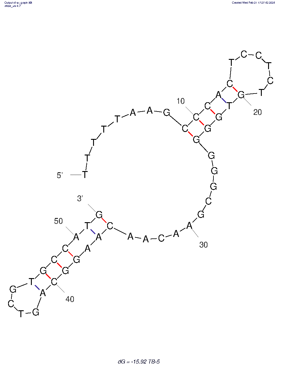 TB-5 Nucleolin Aptamer structure