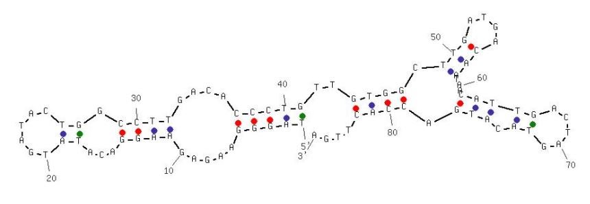 EF508 structure