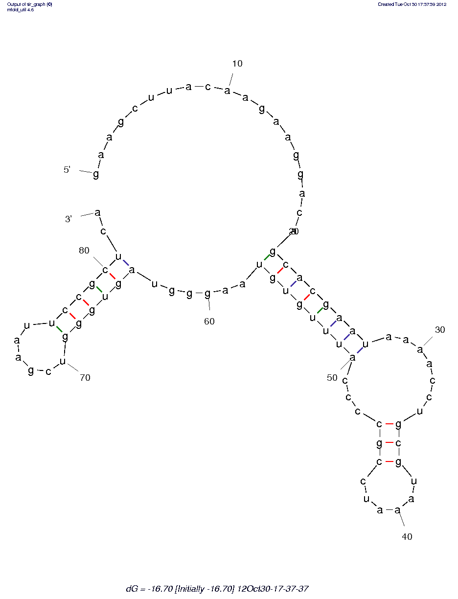 Anti-NF-kB p65 (R1) structure