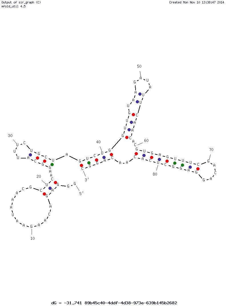 1G8-14 structure