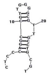 BB16-11 f structure