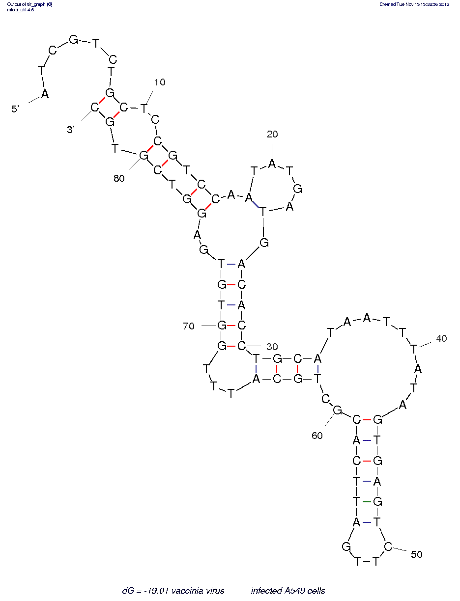 Vaccinia virusƒ??infected A549 cells (TV08) structure