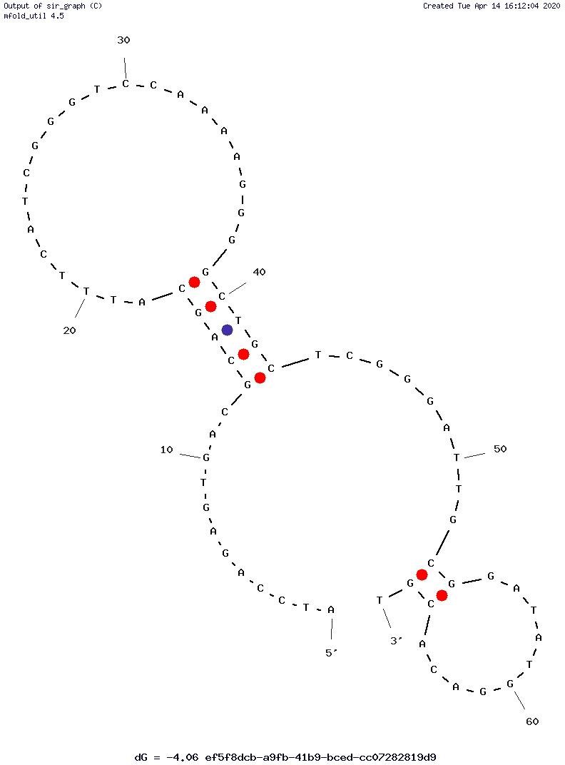 SARS-CoV-2 RBD-4C structure