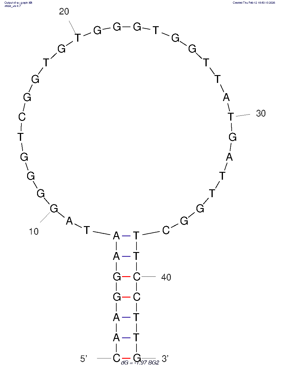 BG2 structure