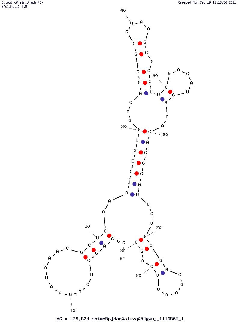 L-Valine structure
