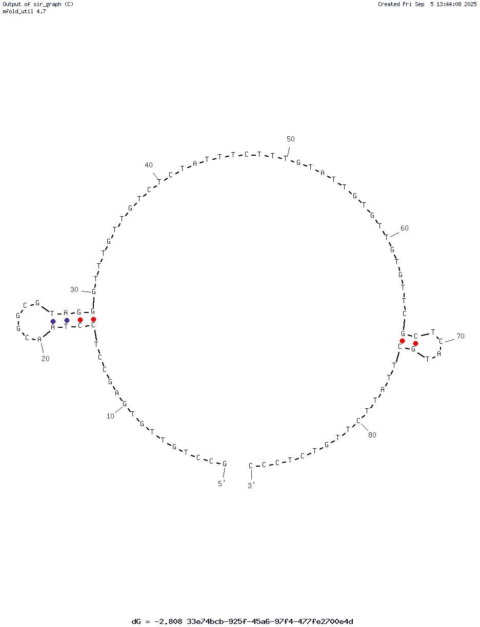 #71T structure