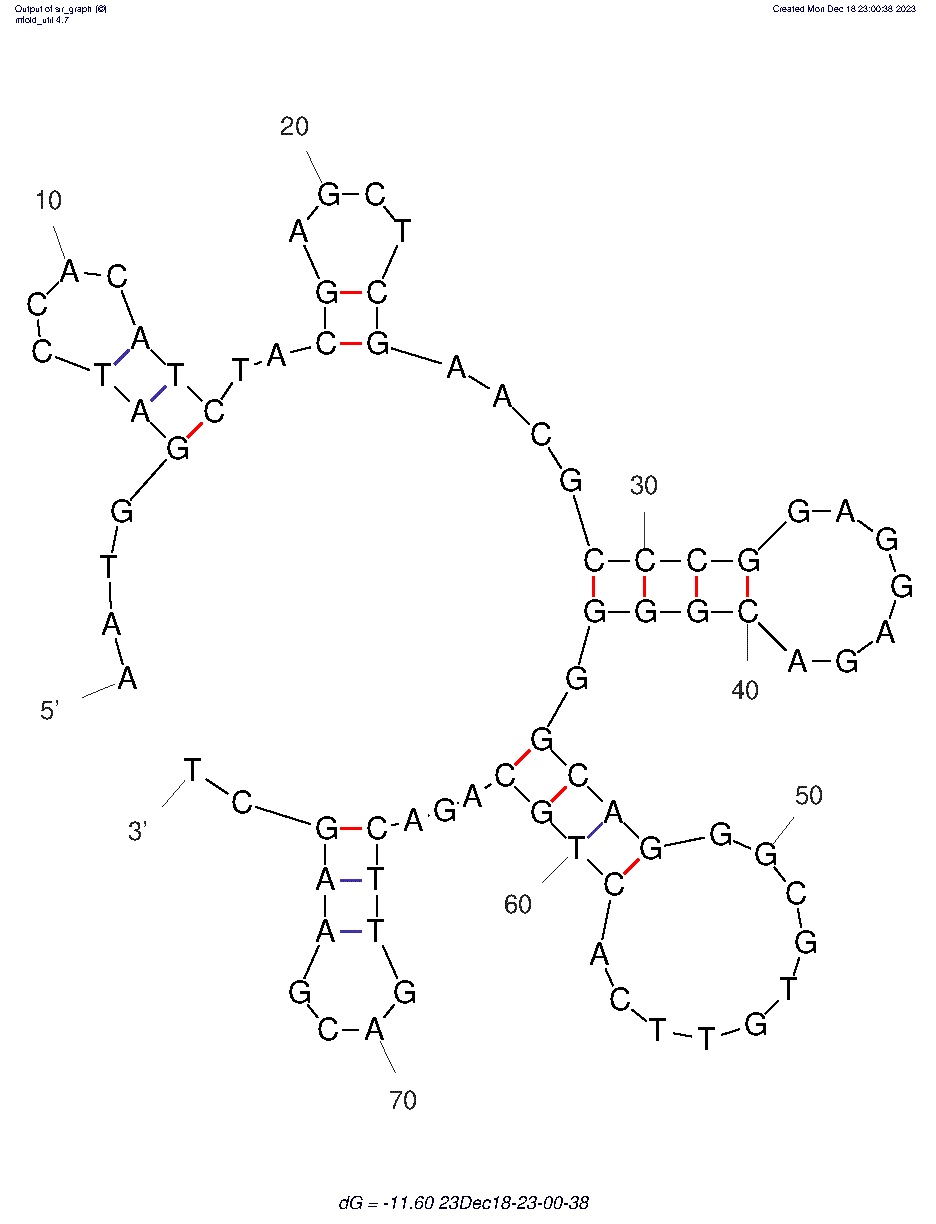 SARS-CoV-2 Variants’ Spike Protein DNA Aptamer K1 structure