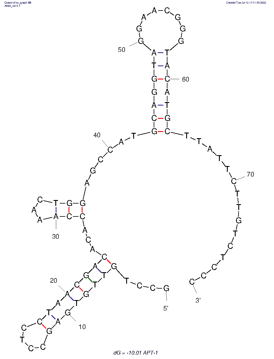 APT-1 structure