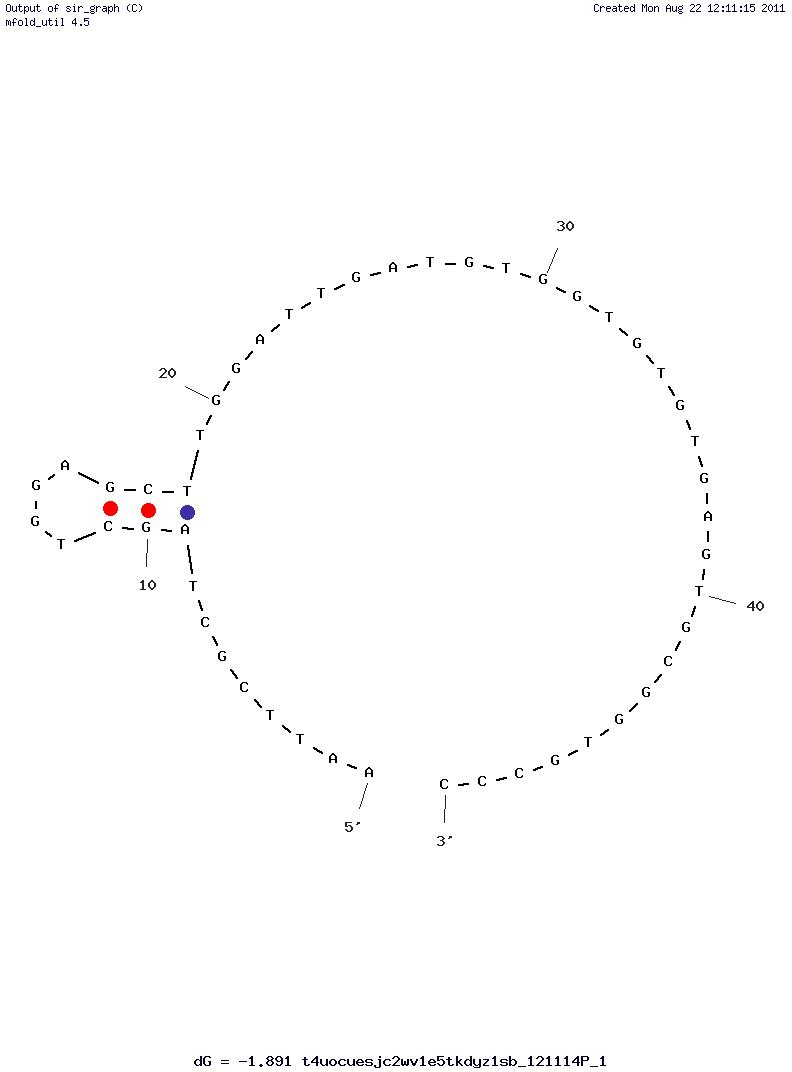 L-Tyrosinamide (pe35) structure