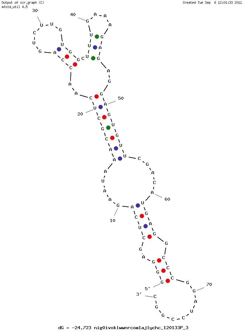 HIV-1 Integrase (P5) structure