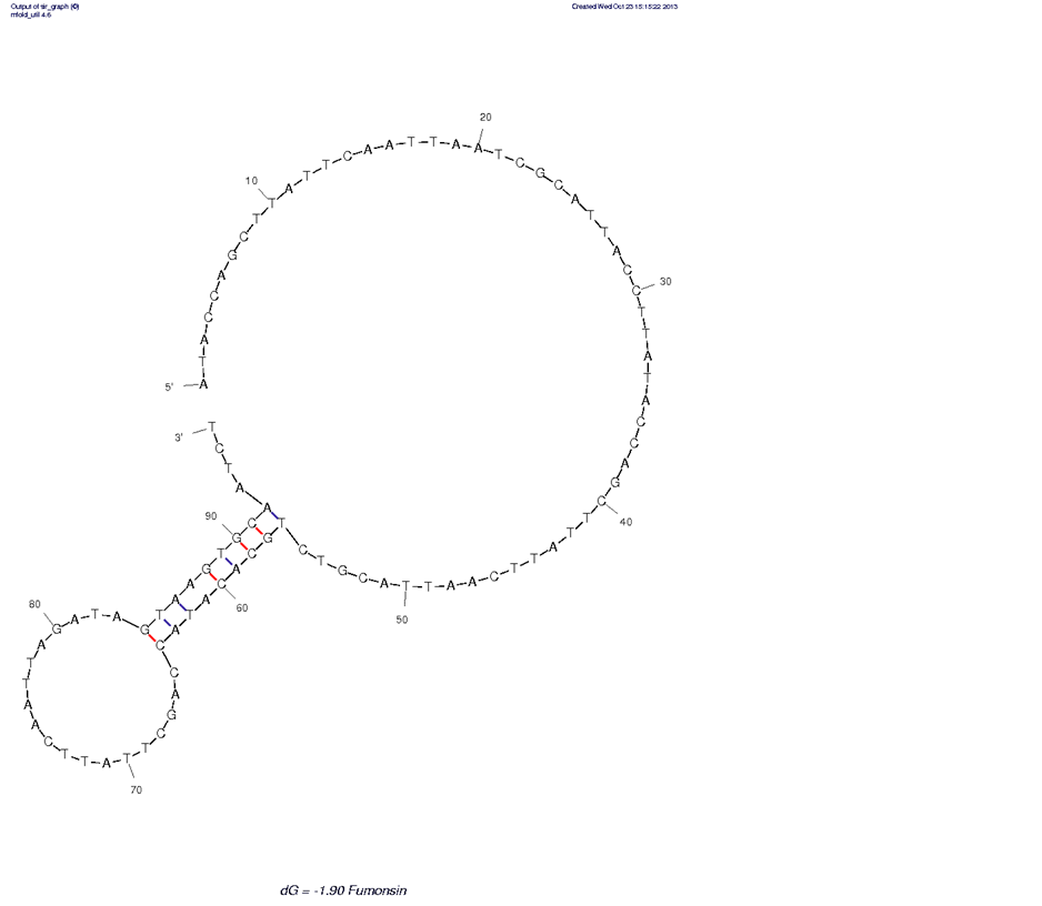 Anti Fumonsin B1 Toxin structure