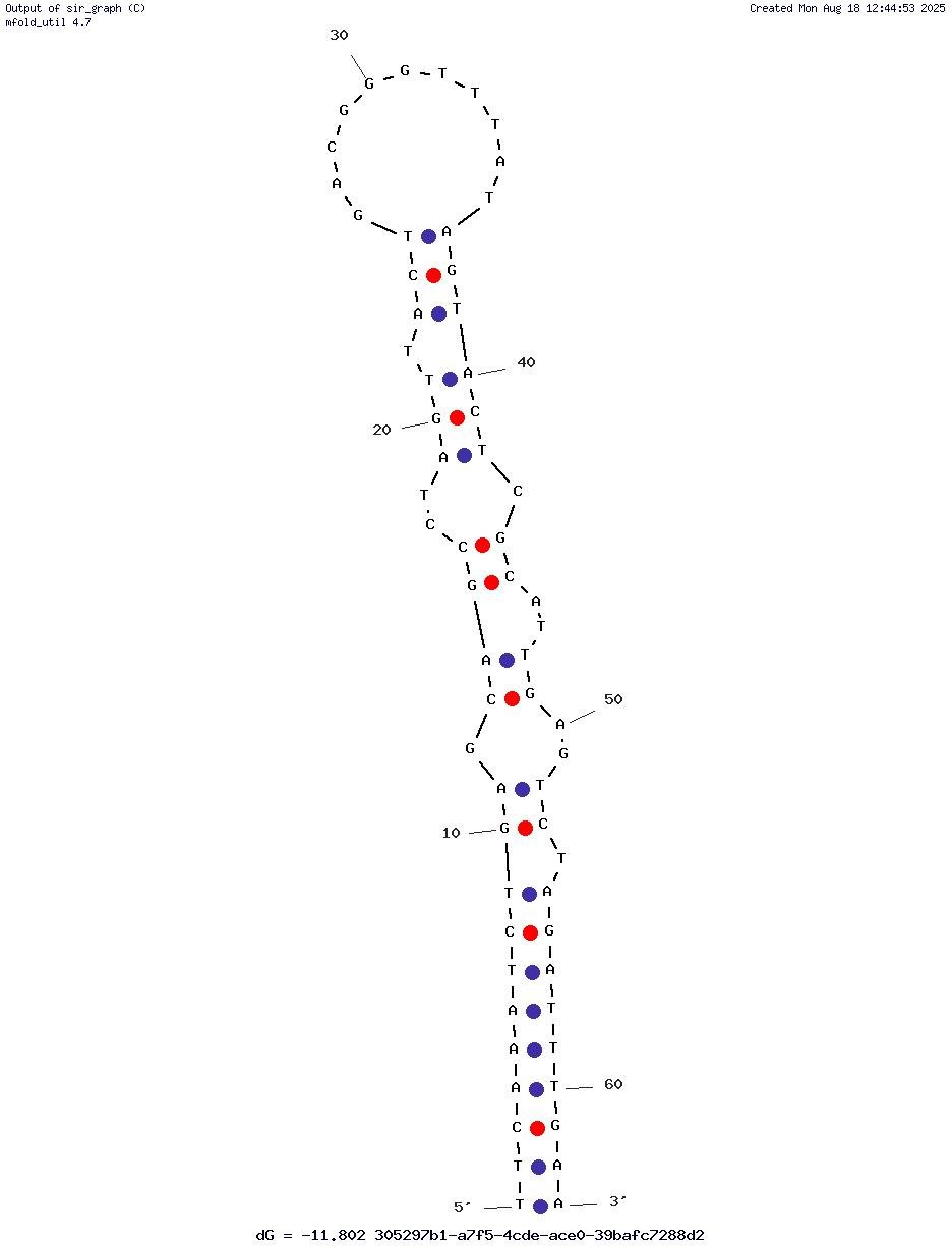 ML1 structure