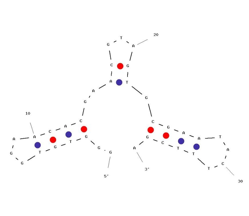Bvd4 structure