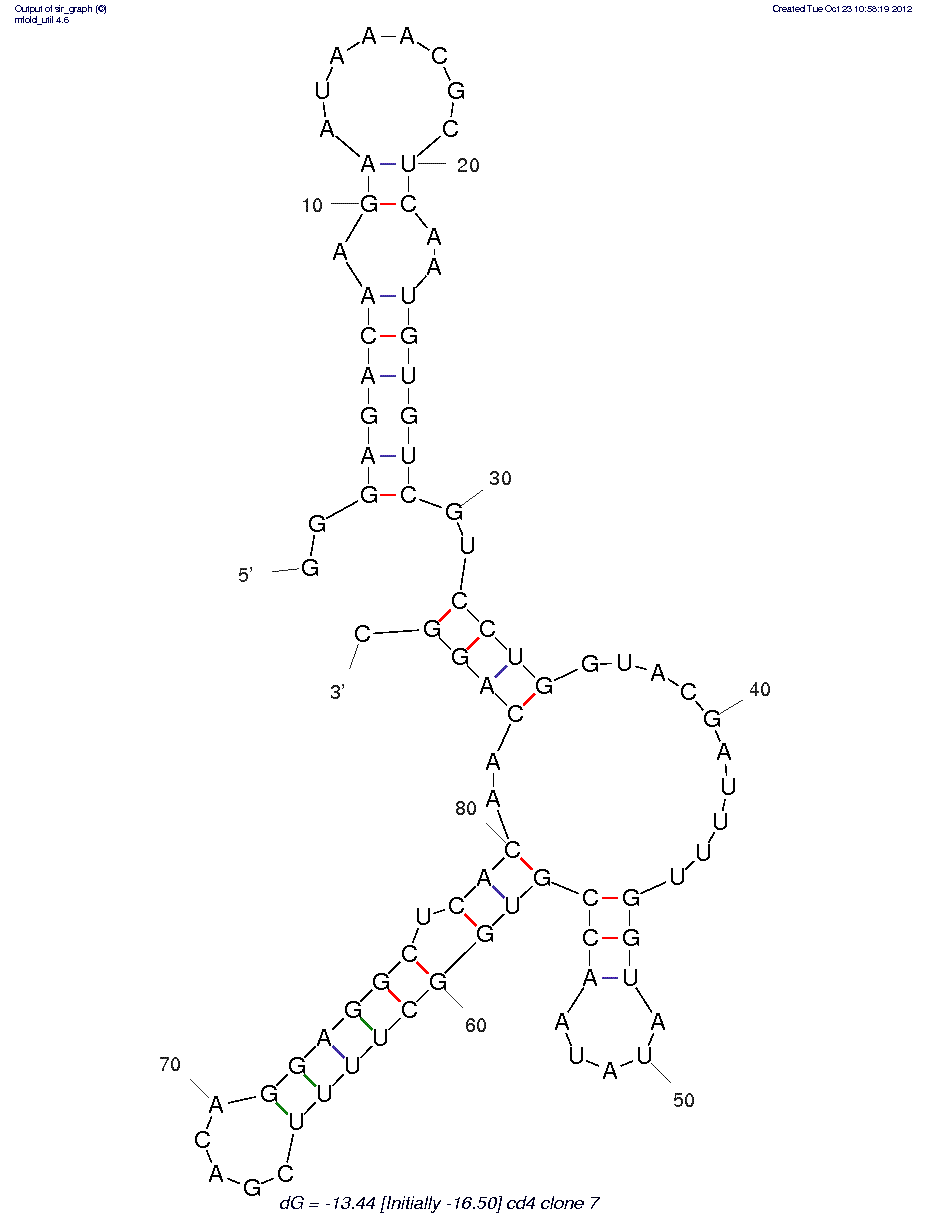 CD4 (Aptamer 7) structure