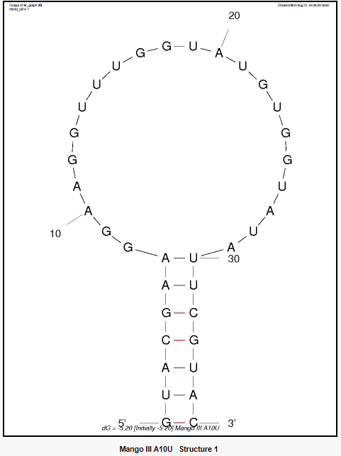 Mango III A10U structure