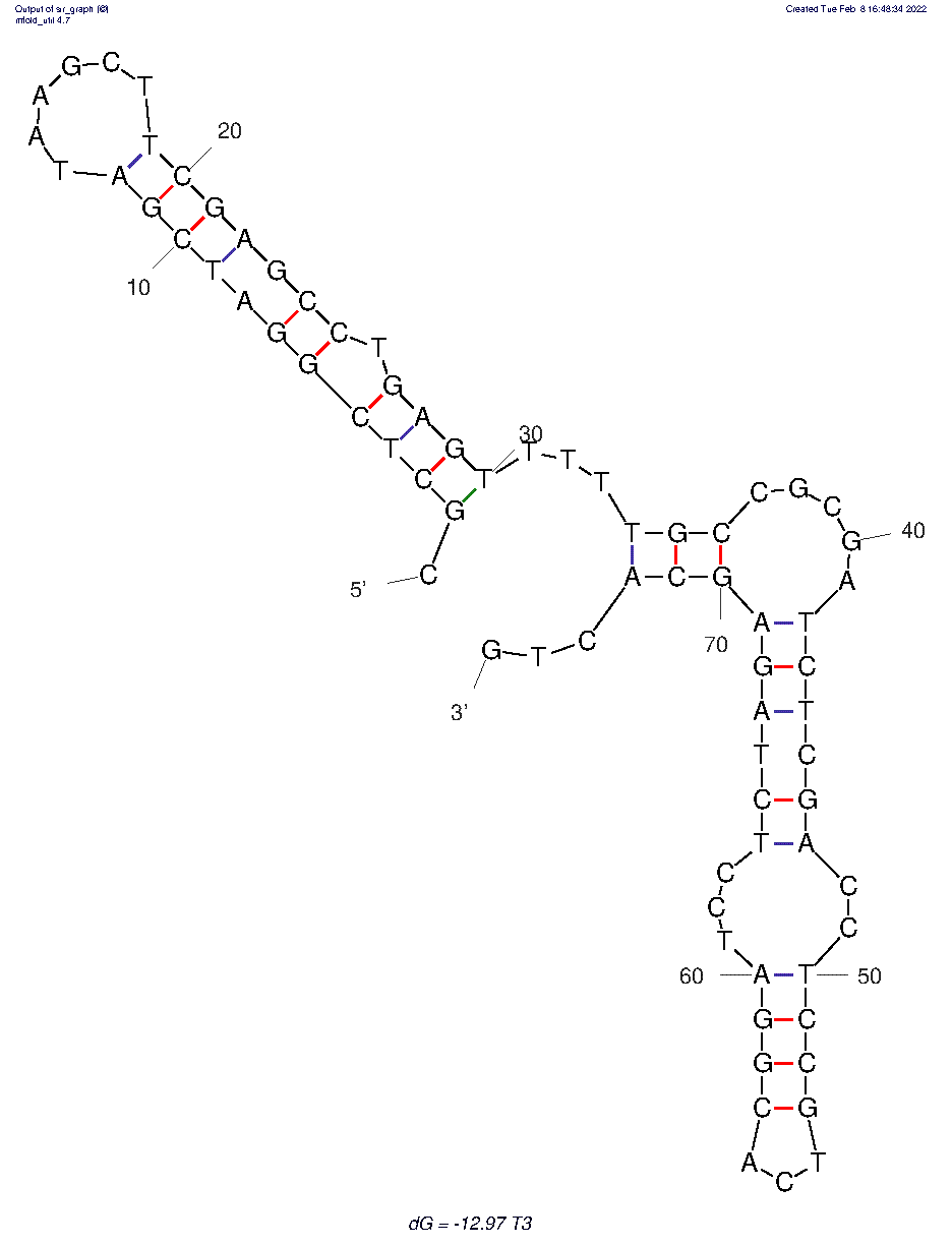 T3 structure