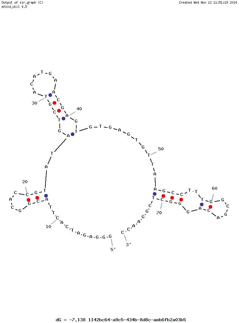 AP-1 cJun/cJun Aptamer-19 structure