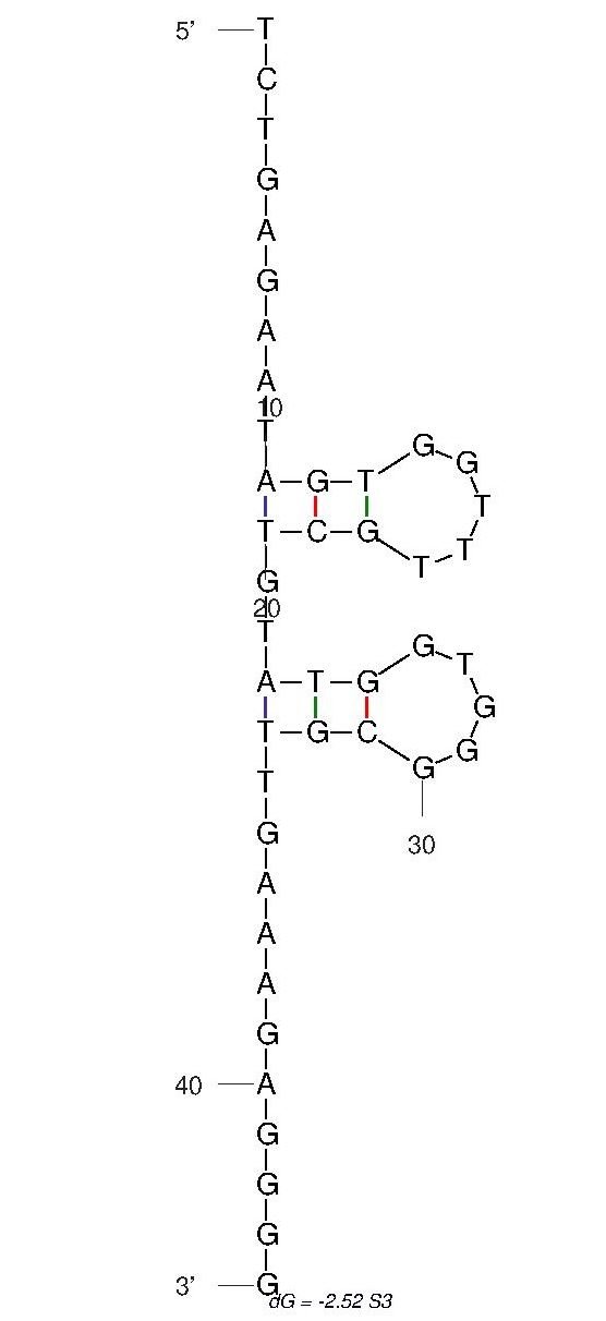 S3 structure