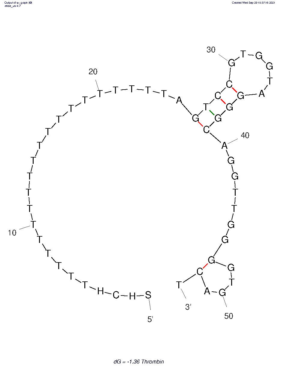 Thrombin Aptamer 2 structure