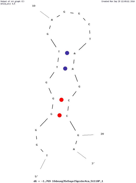 Ky2 Aptamer structure