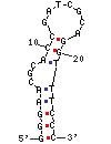StrepApt5 structure