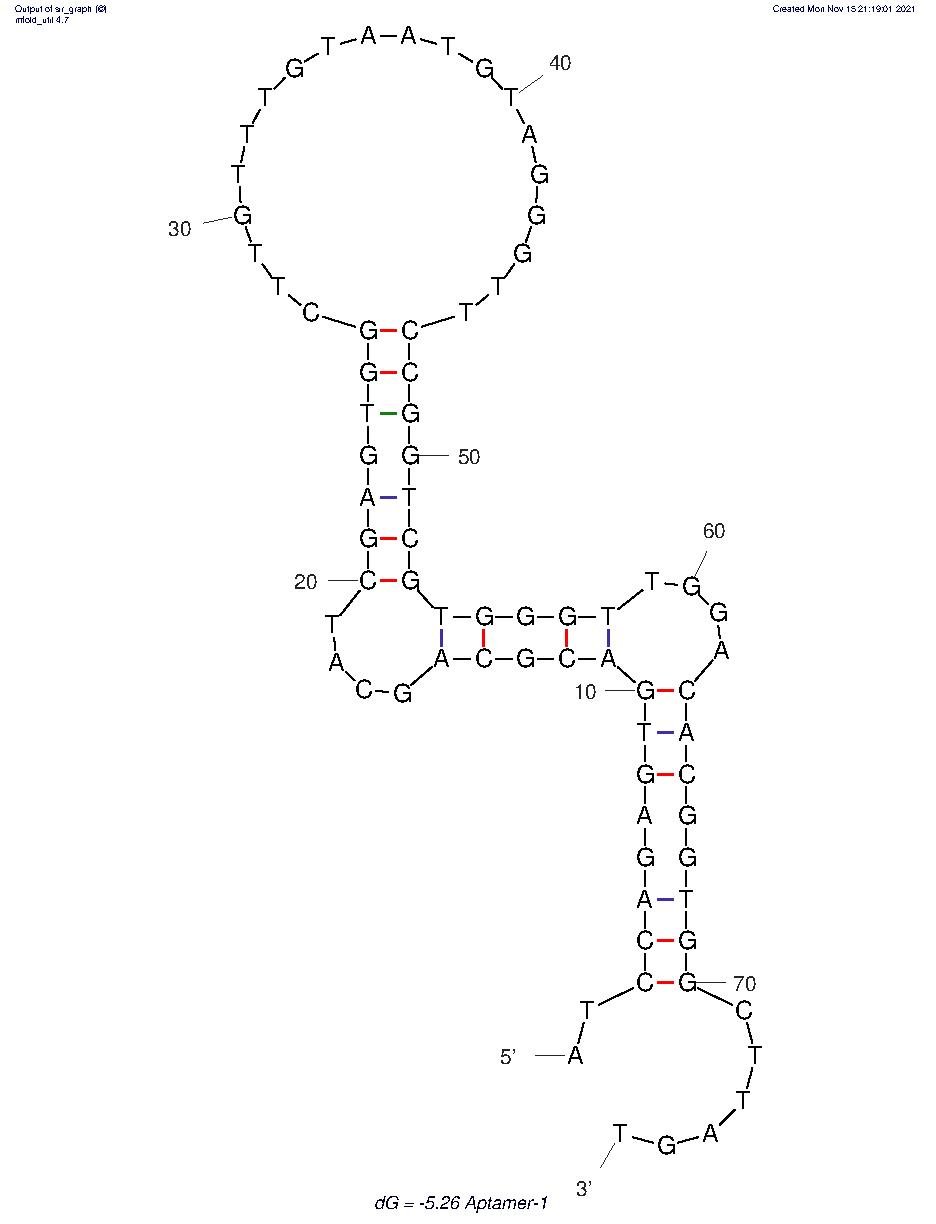 Aptamer-1 structure
