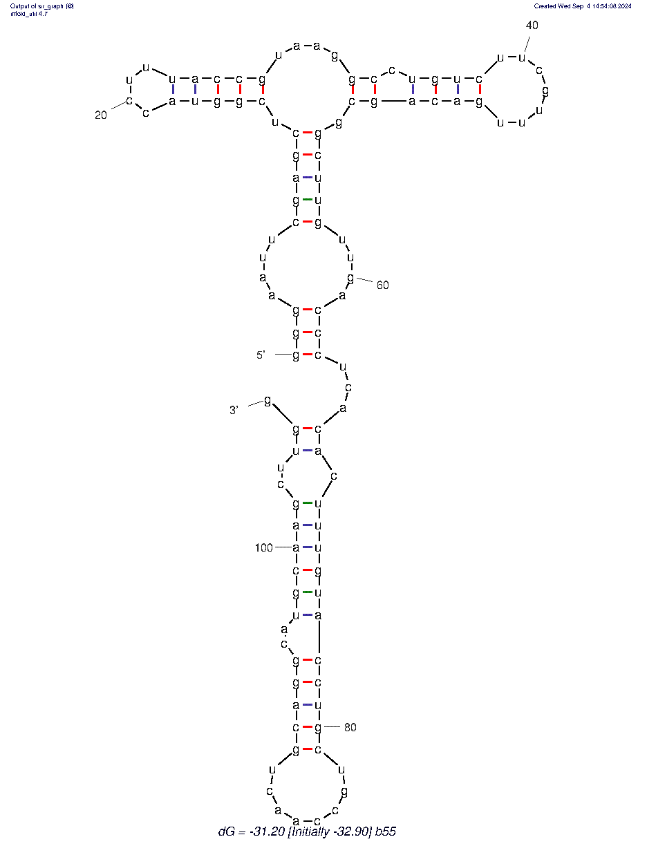 β55 structure