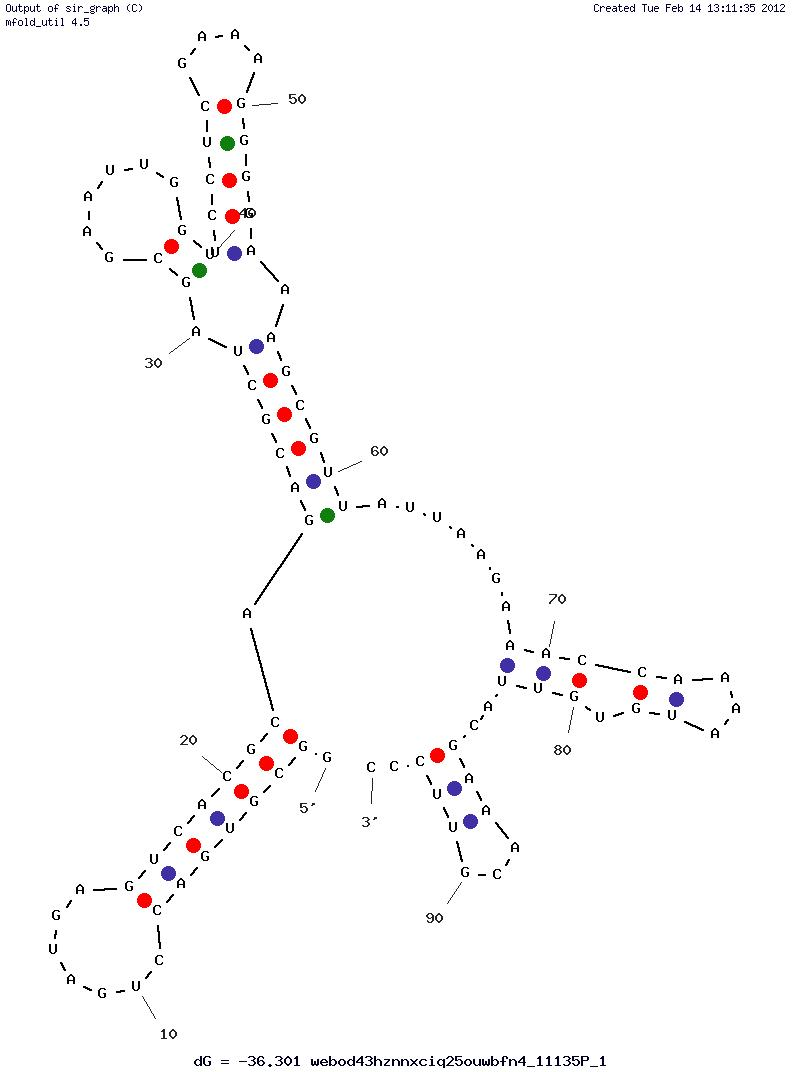 Phosphorylated ERK2 structure