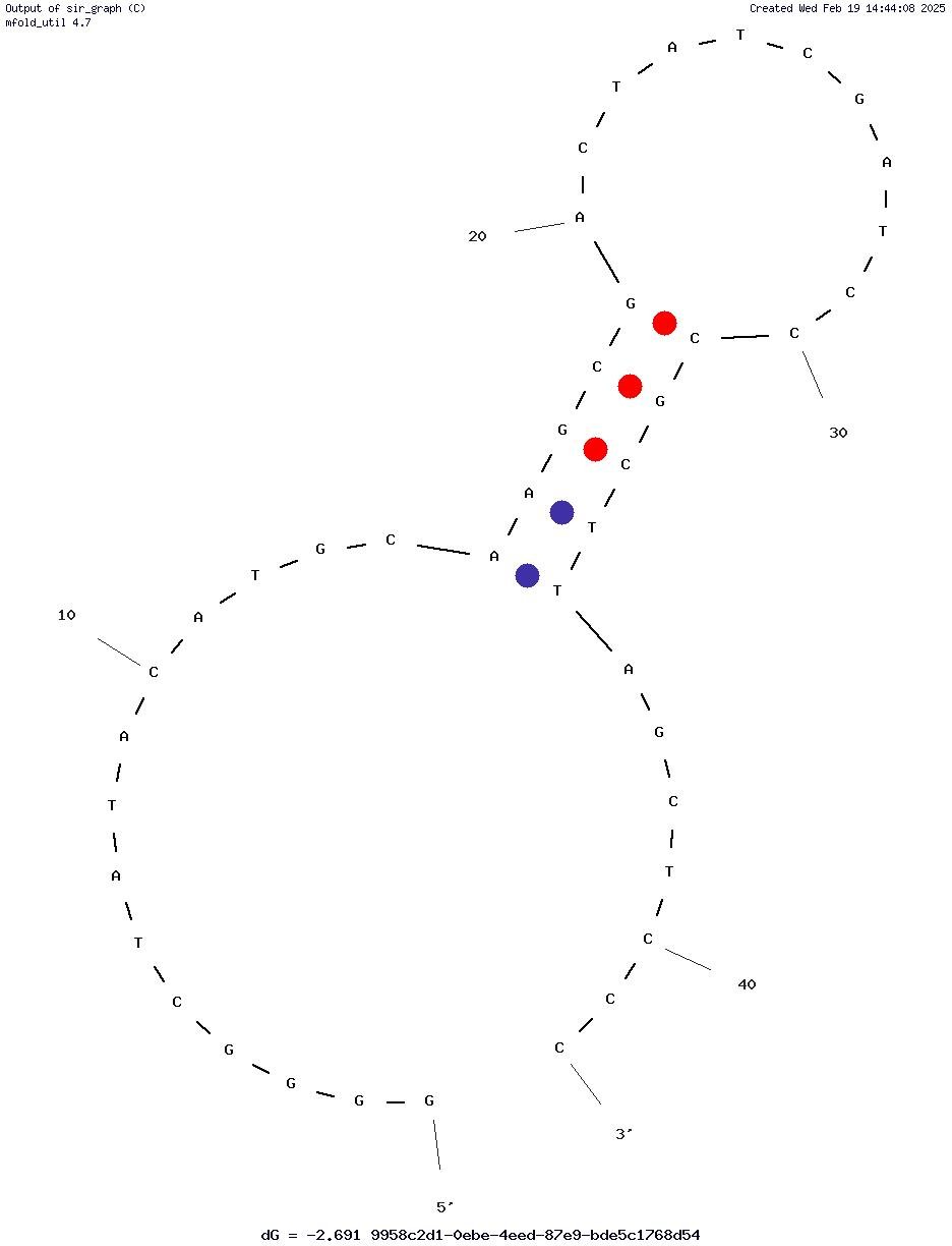 Aptamer T2 against VP2 of FMDV capsid protein structure