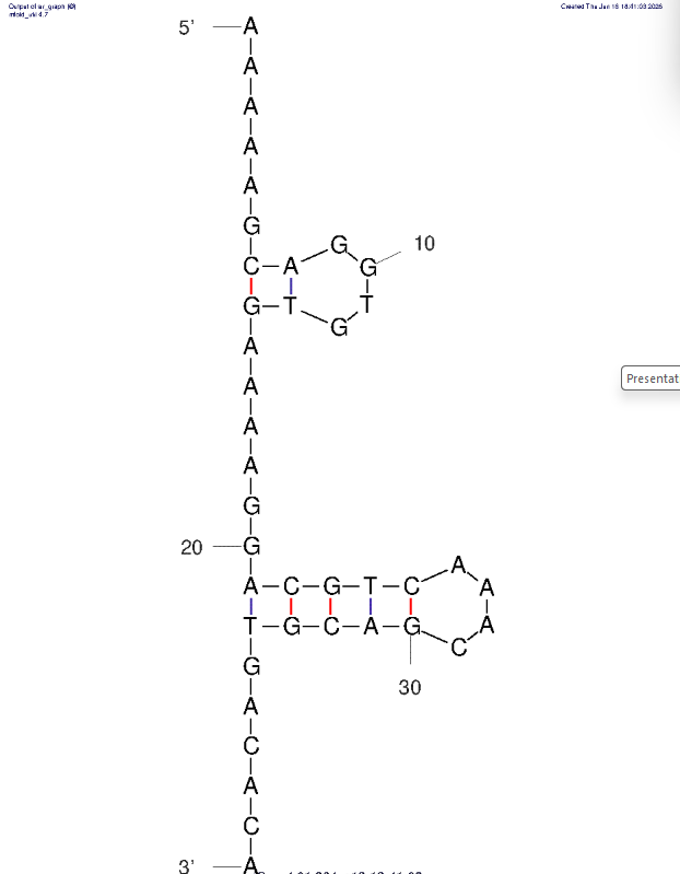 hCD40L-human CD40 ligand structure