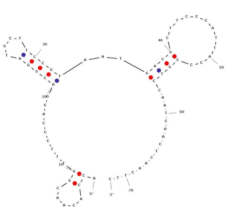 nDNA-547 structure