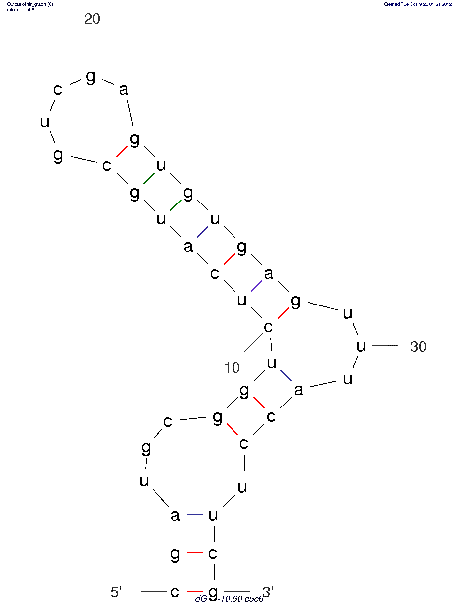 C5a (C5C6) structure