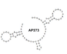 AP273 (Alpha-fetoprotein) structure