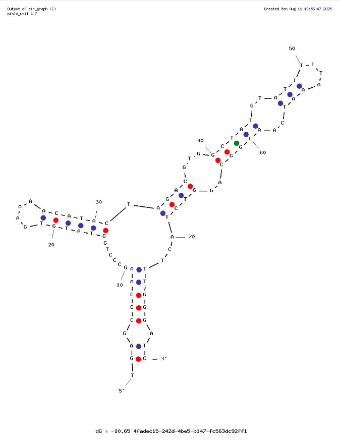 Aptamer CIV6 against Acyclic Guanosine Analogues structure