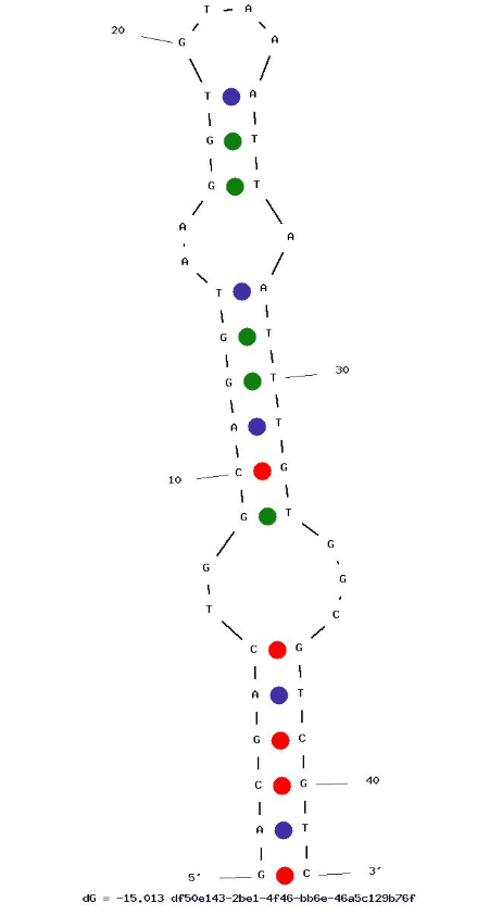 R10X3 structure