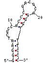 StrepApt 2 structure