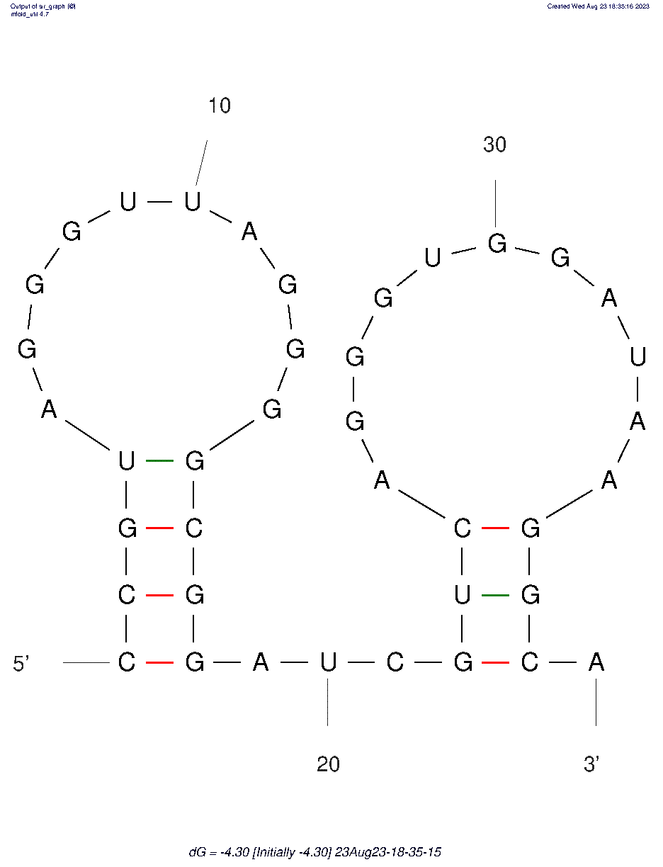 Crimean-Congo Hemorrhagic fever structure