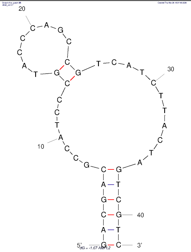 AMP-L2 against Ampicillin structure