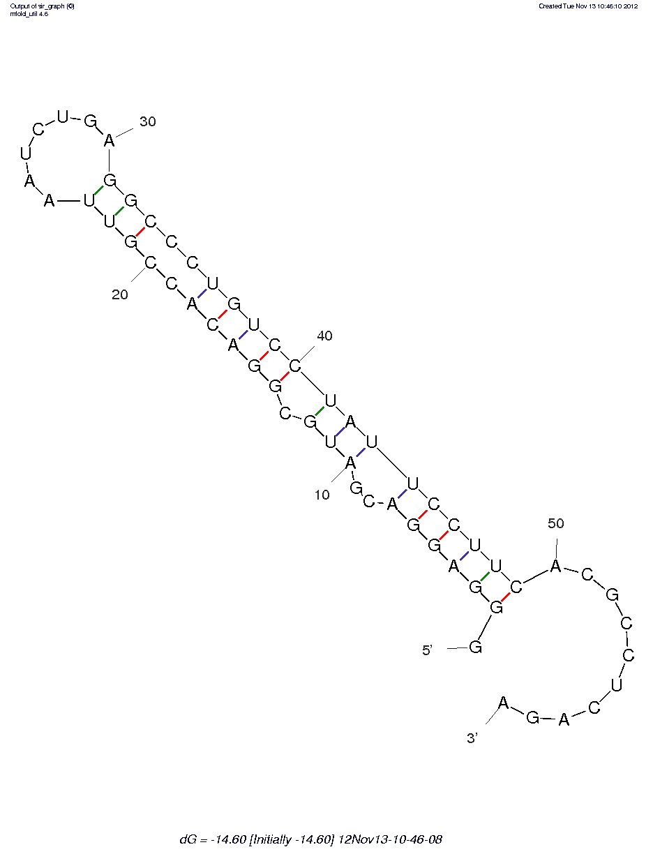 Interferon-γ (2’F-1) structure