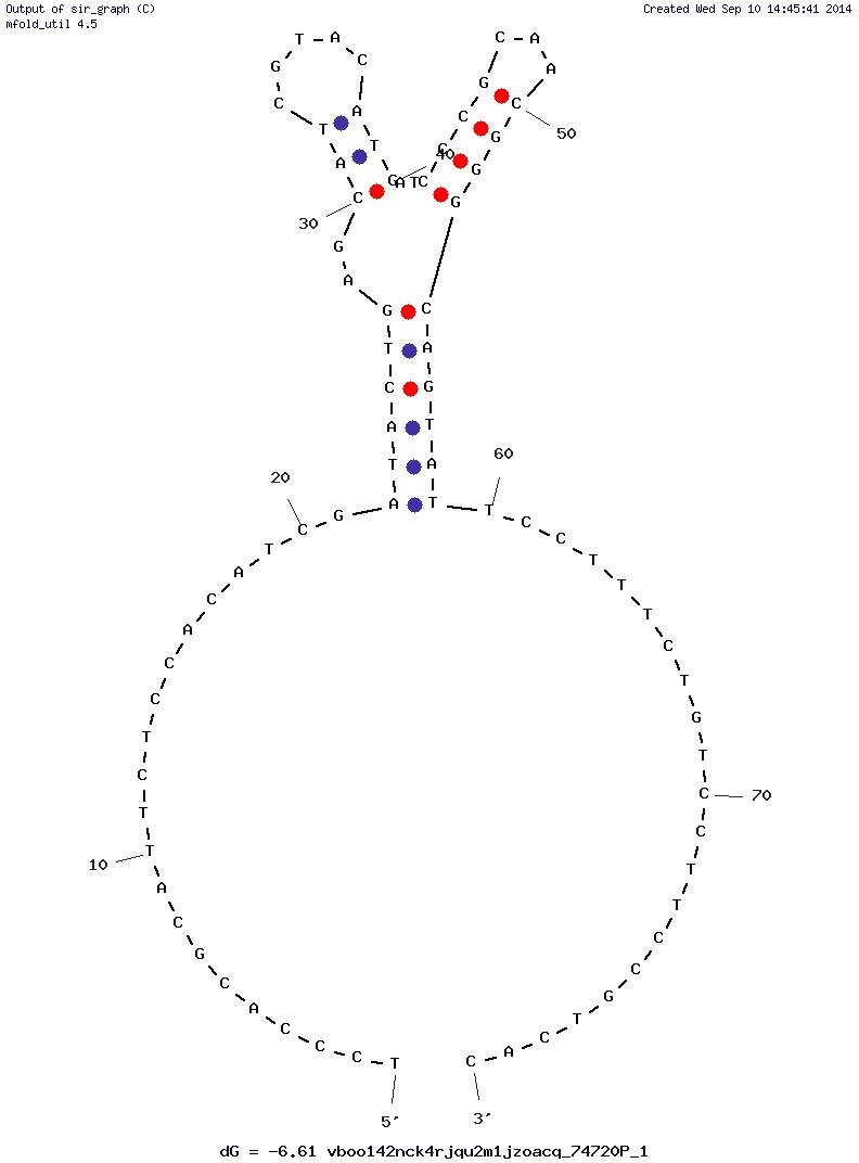 Aptamer ID 2 structure