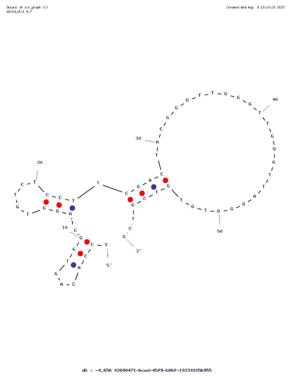 CD38jd4a Aptamer against CD38 in Multiple Myeloma structure