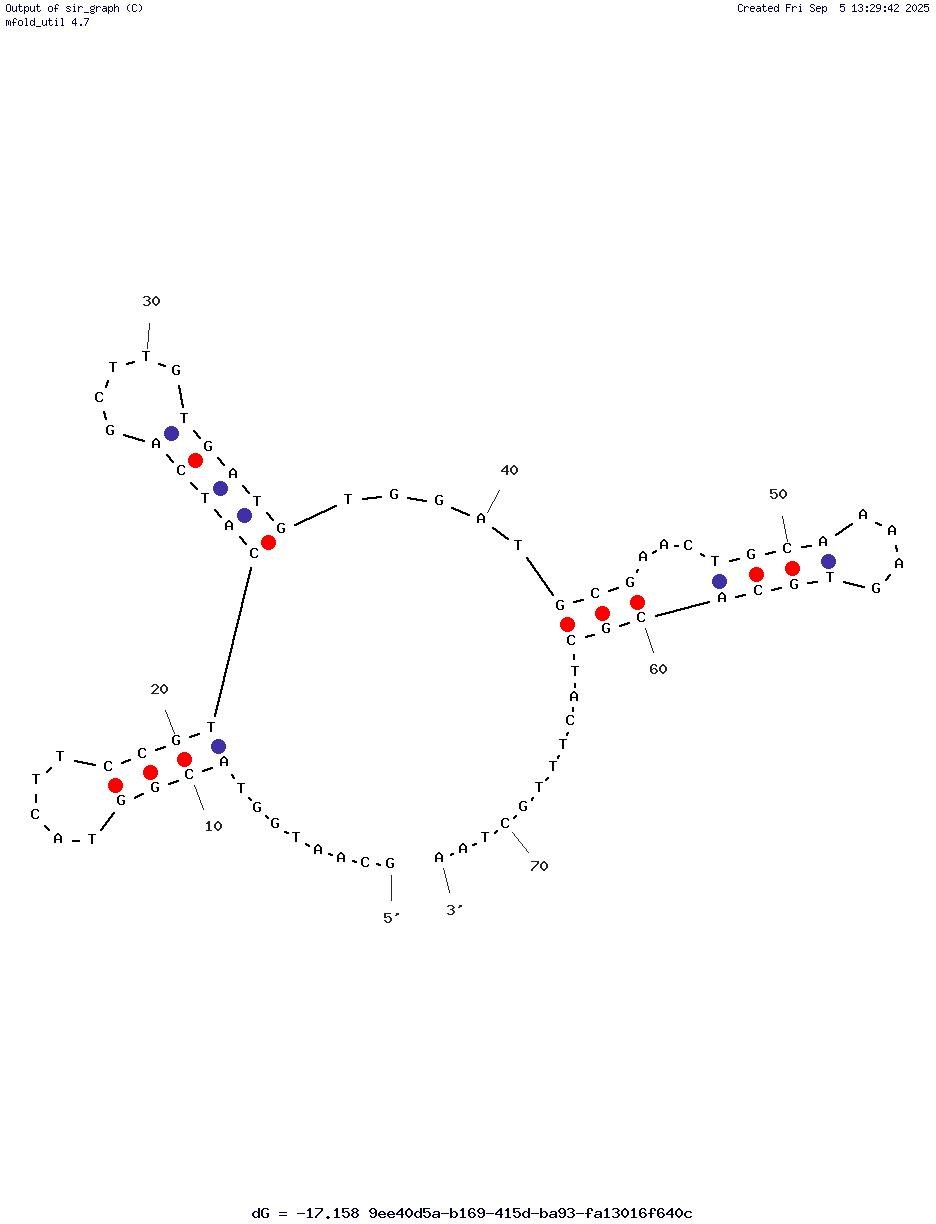 A1 structure