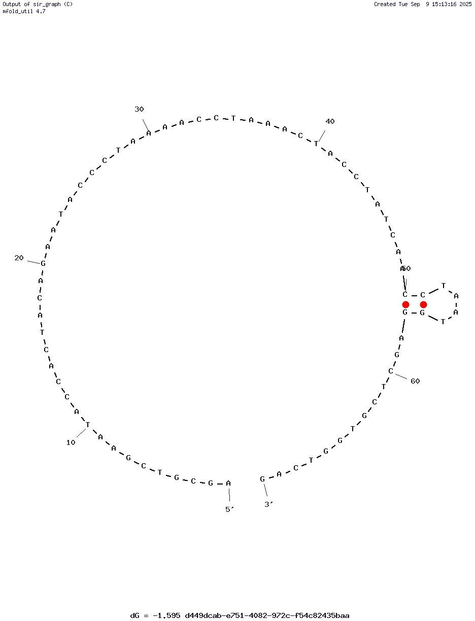 LCW17 structure